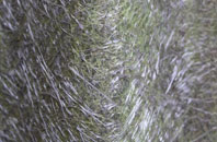 Bruach Mairi fibreglass roof work